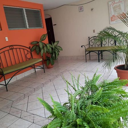 Green Monkey Hostel Flores Εξωτερικό φωτογραφία