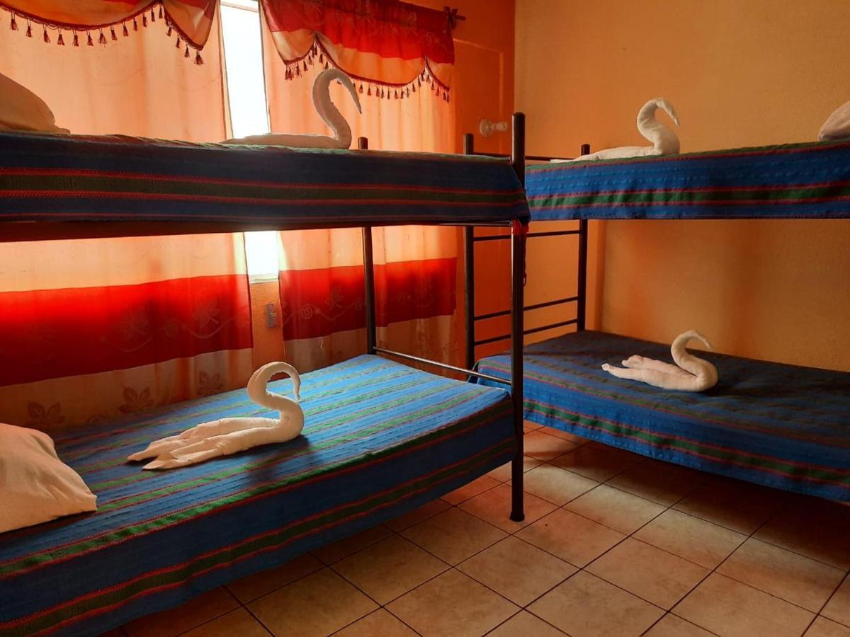 Green Monkey Hostel Flores Εξωτερικό φωτογραφία