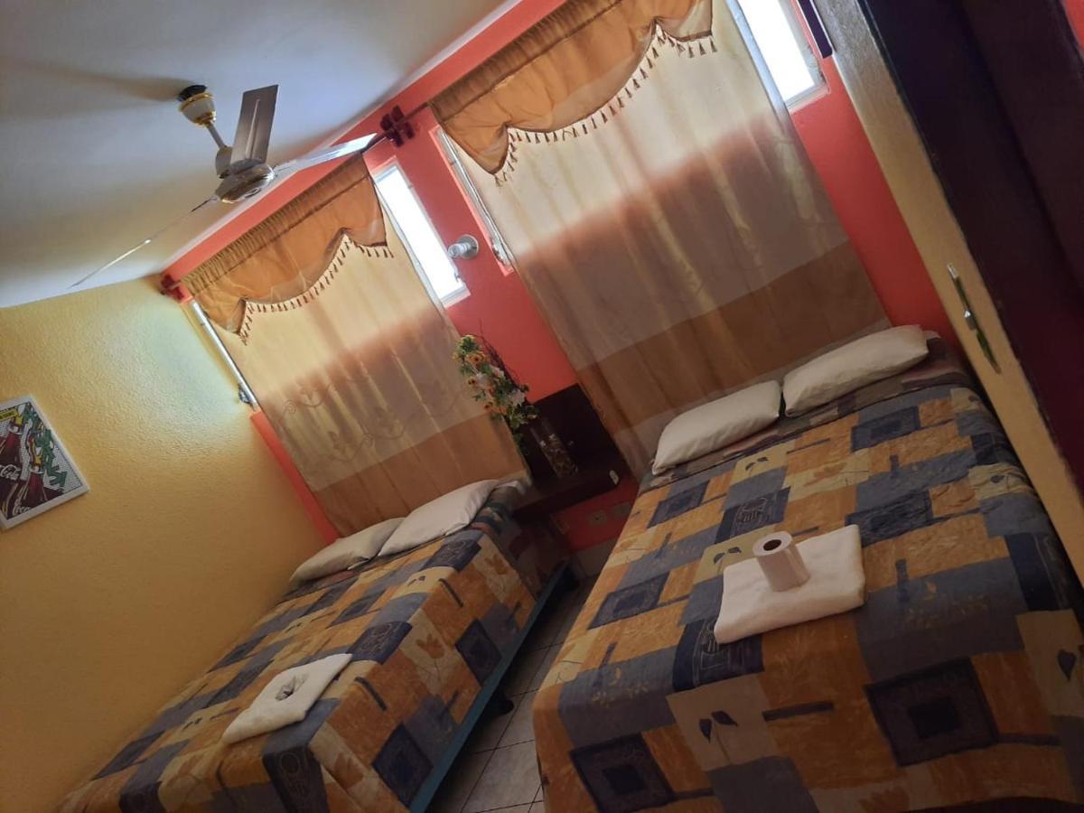Green Monkey Hostel Flores Εξωτερικό φωτογραφία