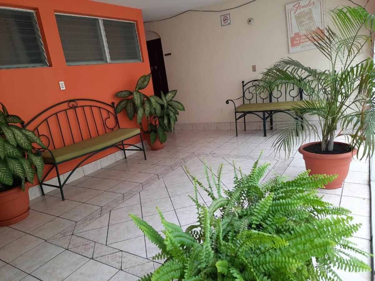 Green Monkey Hostel Flores Εξωτερικό φωτογραφία